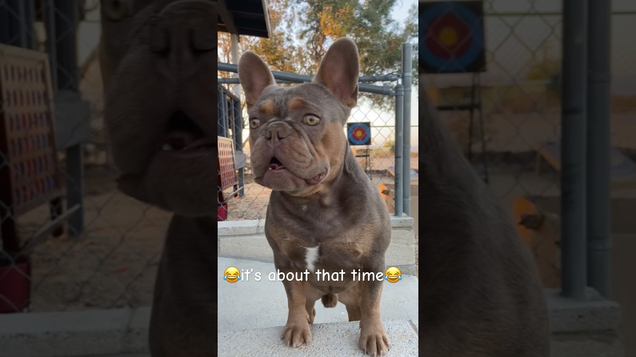 ❤️is it you? 😍 