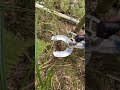 Bamboo cutting #music #travel