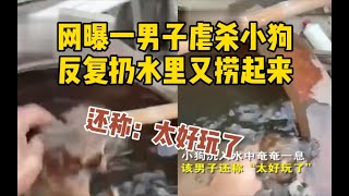 网曝一男子多次虐杀小狗反复扔水里又捞起来太好玩了哔哩哔哩 -つロ 干杯-Bilibili