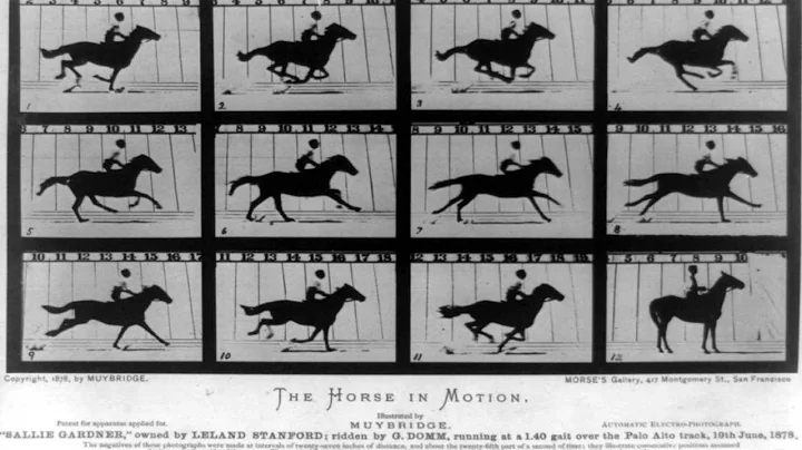 The Weird World of Eadweard Muybridge