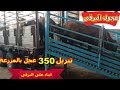 تنزيل 350 عجل فى مزرعة ابناء على البرقى بمدينة خانيونس