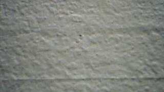 Citi Piti - Ismail Yk