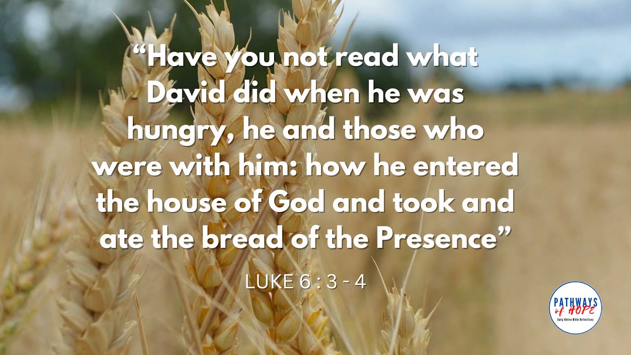 PATHWAYS OF HOPE :  “Harvesting on the Sabbath”