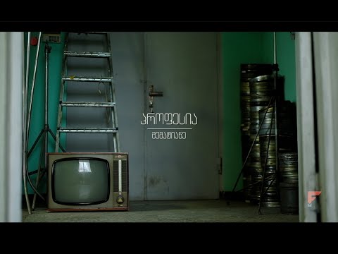 პროფესია მემატიანე