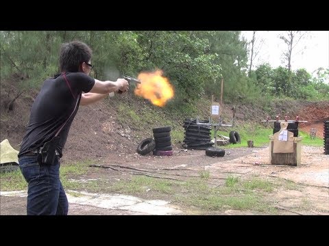 実弾射撃 .454カスール弾薬 リボルバー (.454 Casull Ammo Revolver)