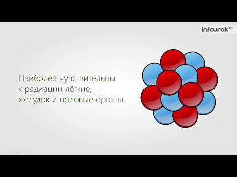 57  Биологическое действие радиации  Закон радиоактивного распада  Термоядерные