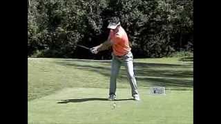 Trevor Immelman, Driver Swing Face Hottest Golfer in Web.com Final