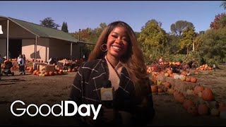 Pumpkin Patch At Zittel Farms