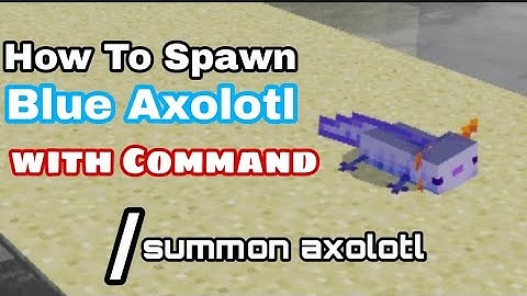 How to Spawn blue axolotl with Command in Minecraft.