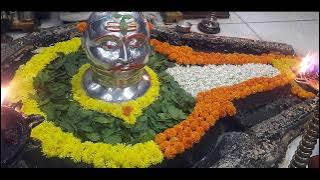 श्री द्वादश ज्योतिर्लिंग स्तोत्रम् || Saurashtre Somnatham Cha Srisailam Mallikarjunam... |