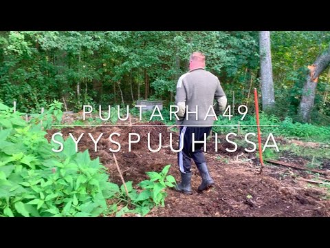 Video: Väriterapiakasvit Puutarhan Erityisalueille. Valikoima Kukkapuutarhan Kasveja Värin Mukaan. Valokuva