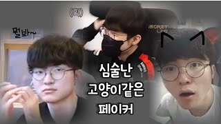 [Faker] 집사 말 안 듣는 심술난 고양이 같은 페이커