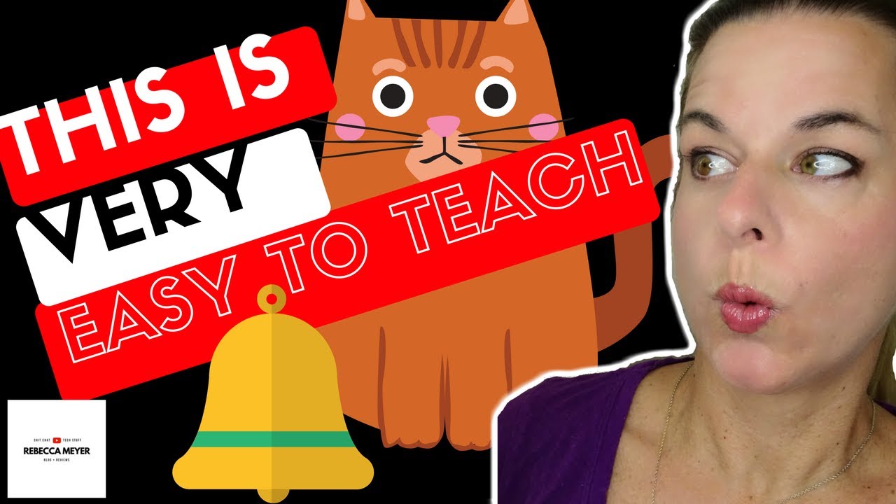 How To Teach Your Cat To Ring A Bell Youtube