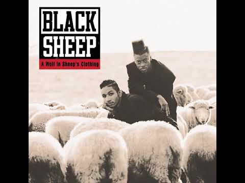 美麗／BLACK SHEEP・Wolf In Sheep's Clothing Black Sheep – A Wolf In Sheep's Clothing – Vinyl (LP, Album