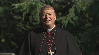 Synod. Message to young people from Archbishop Fisher