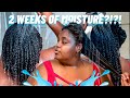 GAME CHANGING WINTER TYPE 4 "NATURAL HAIR" ROUTINE | Moisturizing Wash Day for Fast Hair Growth