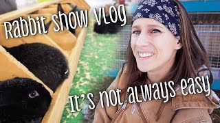 Rabbit Show Vlog - Culling is not always easy