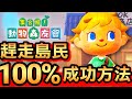 【集合啦！動物森友會】97-100%成功刷島民方法 / 詳細步驟 (Animal Crossing) (2020)