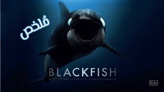 رحلة الإنسان في صيد و تدريب الحوت القاتل اوركا من خلال الفيلم الوثائقي Black Fish من انتاج CNN