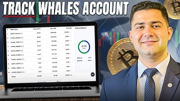 How to Track Crypto Whales & Save Yourself From Liquidation — Full Guide!