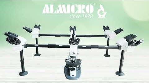 Multi-Viewing DECA-HEAD MICROSCOPE Manufacturer Ambala  Research Microscope | call at +91-9992611133