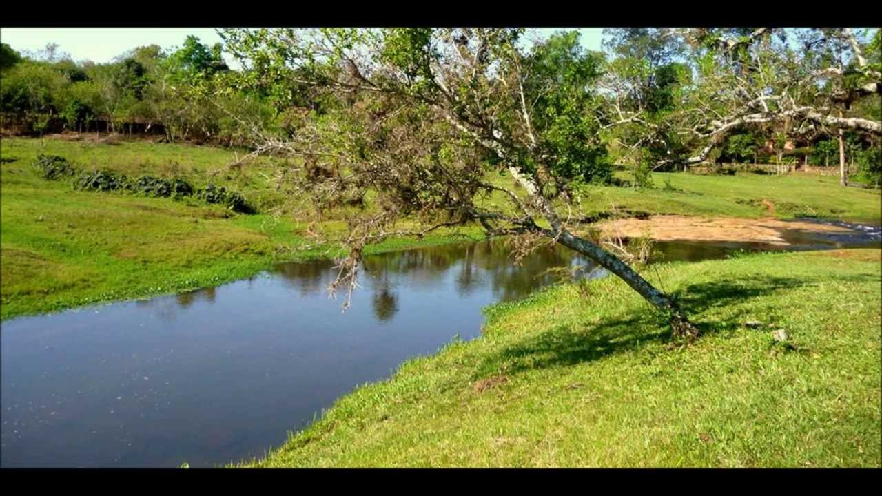 La Ultima Letra - Polca