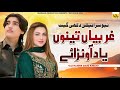 Ghareeban Tenu Yad Awarae Ali Haider Daud Khelvi New Saraiki Song 2025