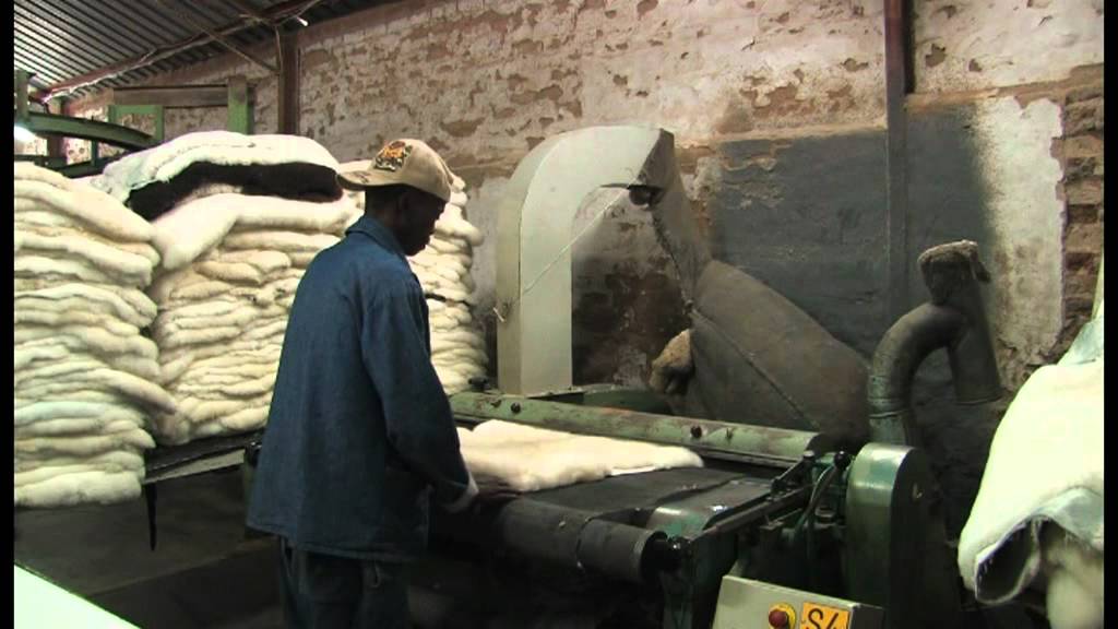 Burgersdorp Eastern Cape - South Africa Travel Channel 24