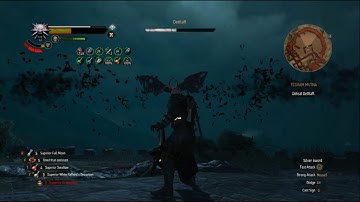 Witcher 3 - Dettlaff battle - Combat-Alchemy Build - Death March Difficulty