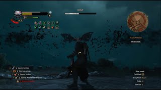 Witcher 3 - Dettlaff Battle - Combat-Alchemy Build - Death March Difficulty
