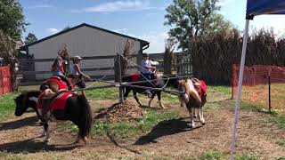 Natalie riding ponies at Relleke pumpkin Farm October 2018