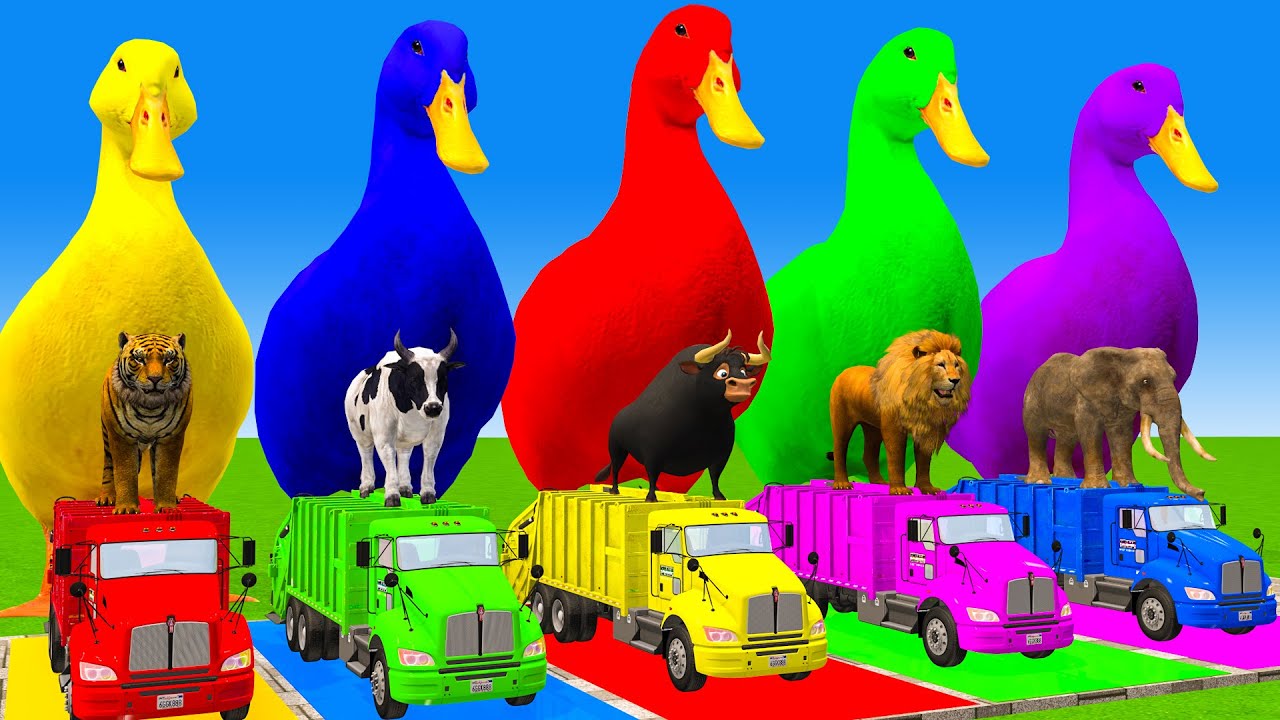 5 Giant Duck Cartoon,Cow,Elephant,Tiger,Lion,Dinosaur,Paint Wild Animals Crossing Fountain Animation