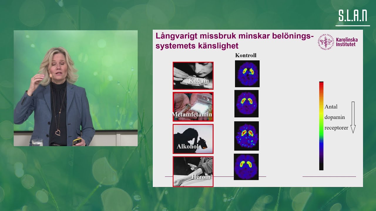 Vad händer i hjärnan under utveckling av beroende?