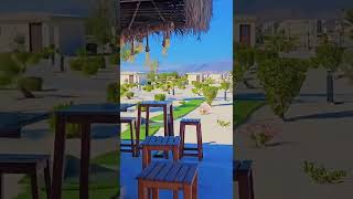 Cocoshack beach view