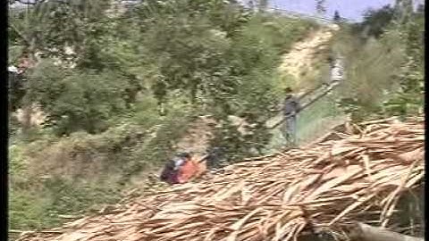 Study Tour Video: KUET CSE 2K2: Part 2 of 3