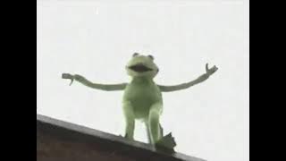 Kermit Falling Off A Building