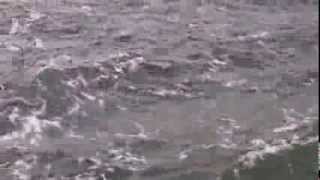 Montauk Bass Blitz!
