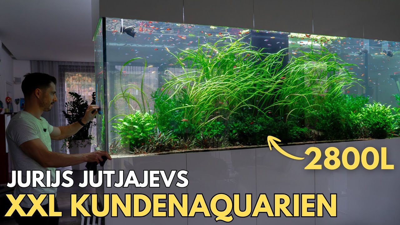 Ein Tag als Vollzeit-Aquascaper - Jurijs XXL Kundenaquarien