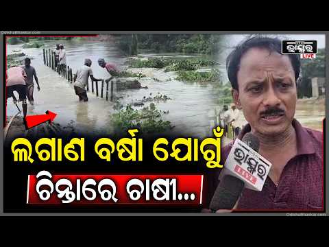 ବନ୍ୟା ପାଣି ସହ ଚାଷଜମିକୁ ମାଡ଼ି ଆସୁଛି ବାଲି, ଚିନ୍ତାରେ ବସ୍ତାର ଚାଷୀ...