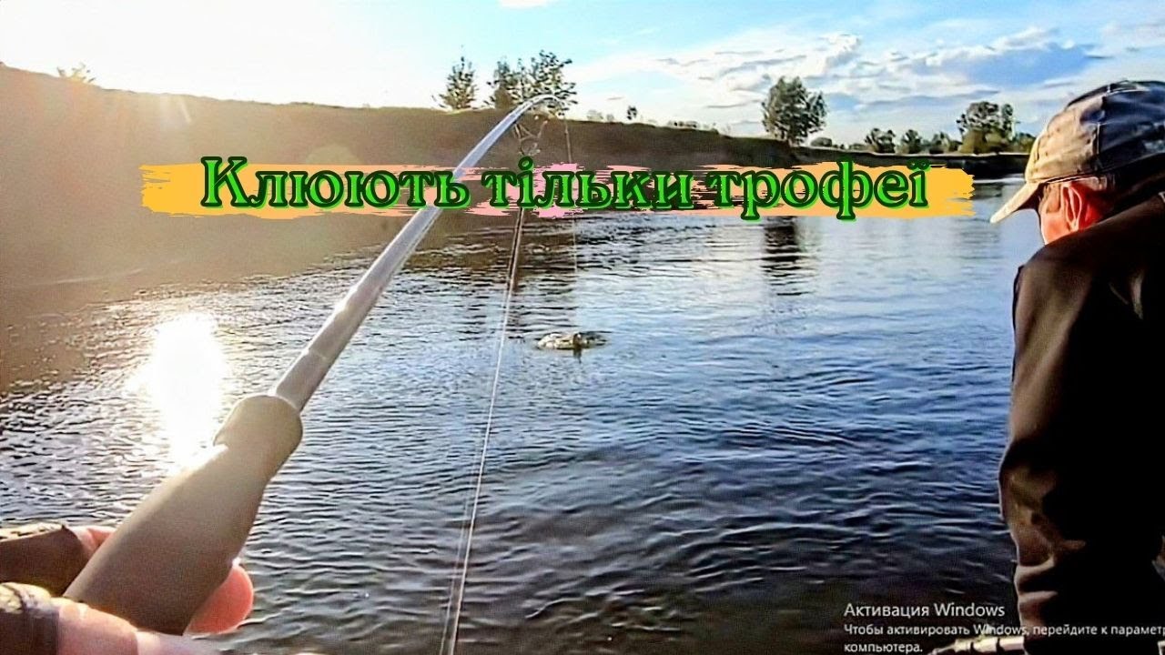 Десна . Клюють тільки трофеї .