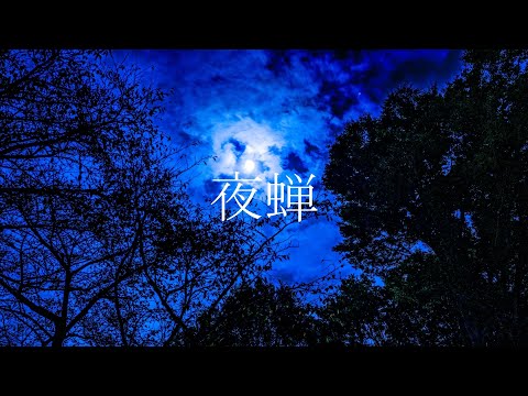 夜蝉/Orangestar(Covered by 可不)