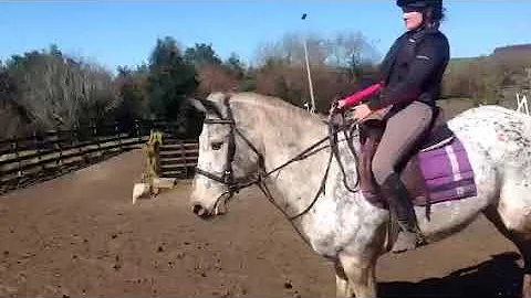 Barnfield Indian Sky