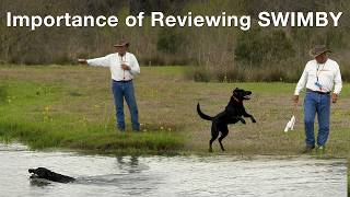 Importance of Reviewing Swimby