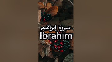 سورة إبراهيم | ياسر الدوسري تلاوة خاشعة القرآن الكريم Quran #مصحف #تلاوة #قناة_اليوتيوب #Mus7aff