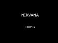 Nirvana Dumb Basscover (Serhat)