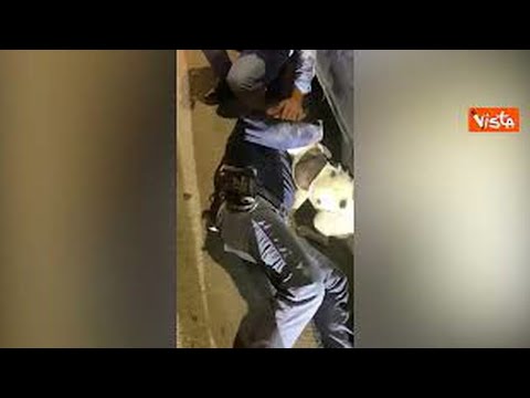 Video Cane incastrato sotto un'auto, il VIDEO del salvataggio