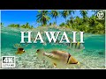 Hawaii 4k  scenic relaxation film with calming music  4k ultra