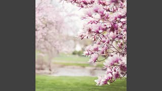 Eternal Spring