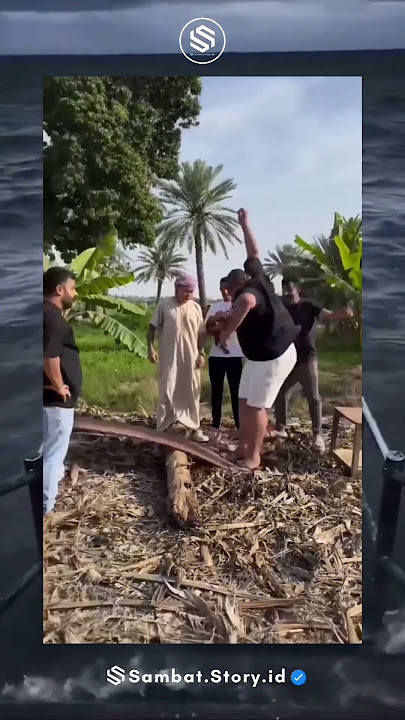 Naliko kowe kakean polah 🤣 #shorts #reels #oceanmeme #memes