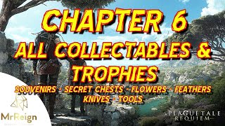 A Plague Tale Requiem - Chapter 6 - Leaving All Behind - All Collectables & Trophies